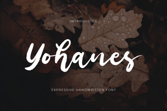Yohanes Font: Elevating Digital Marketing Visuals